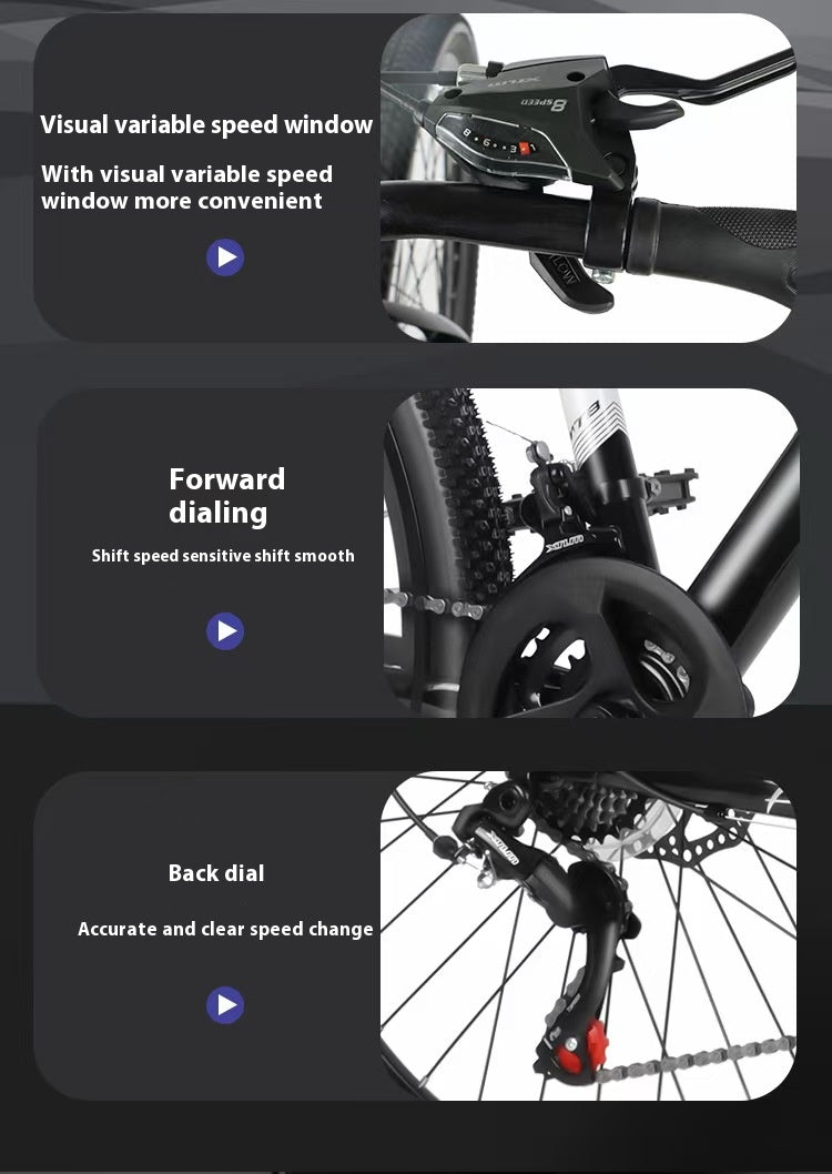 26-inch MTB bicycle with dual disc brakes, suspension fork, and 21 speeds.