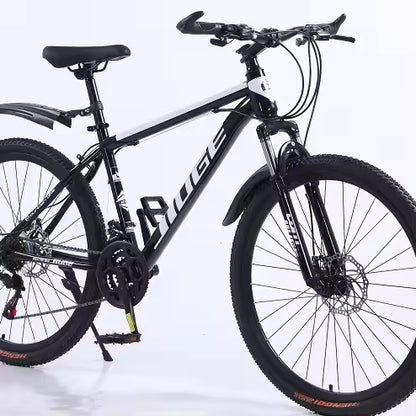 26-inch MTB bicycle with dual disc brakes, suspension fork, and 21 speeds.